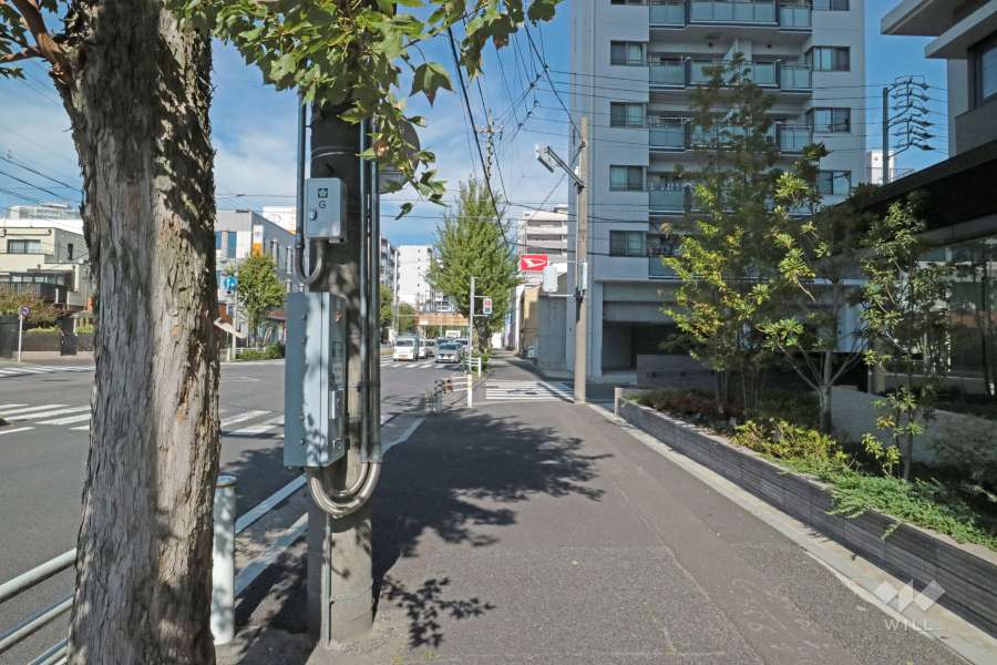 敷地西側の前面道路(南側から)
