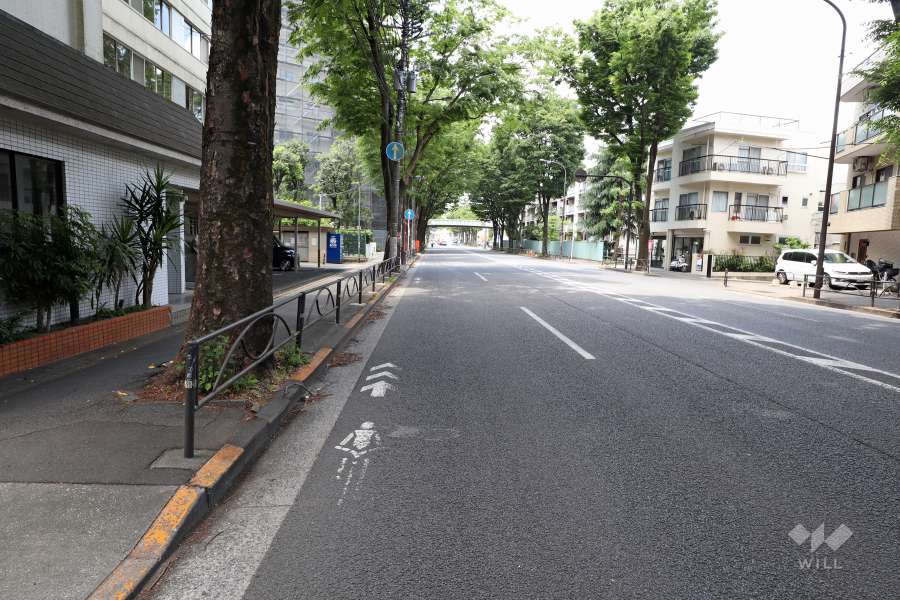 敷地北側の前面道路