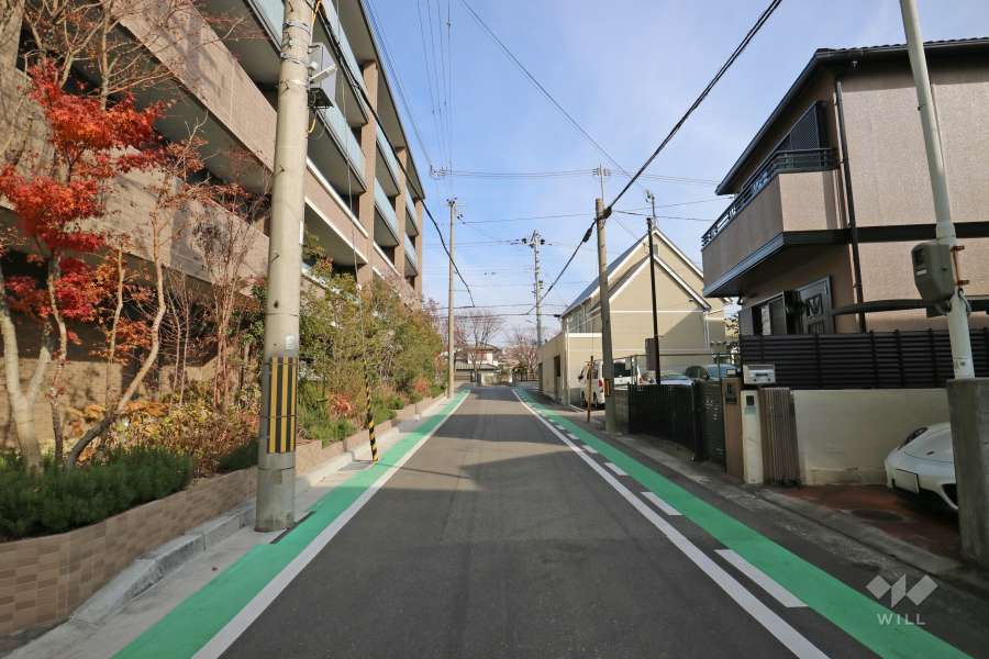 敷地南側の前面道路（西側から）