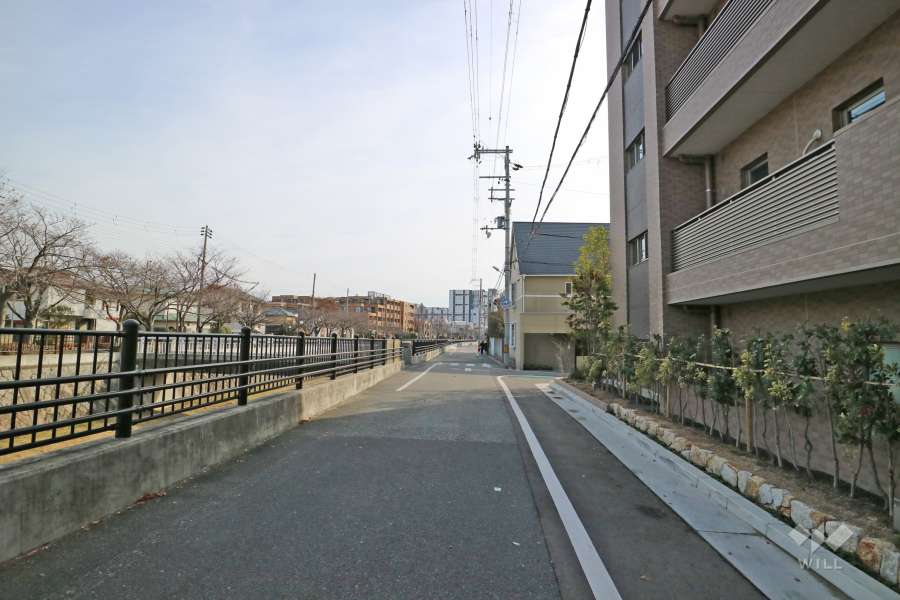 敷地東側の前面道路（北側から）