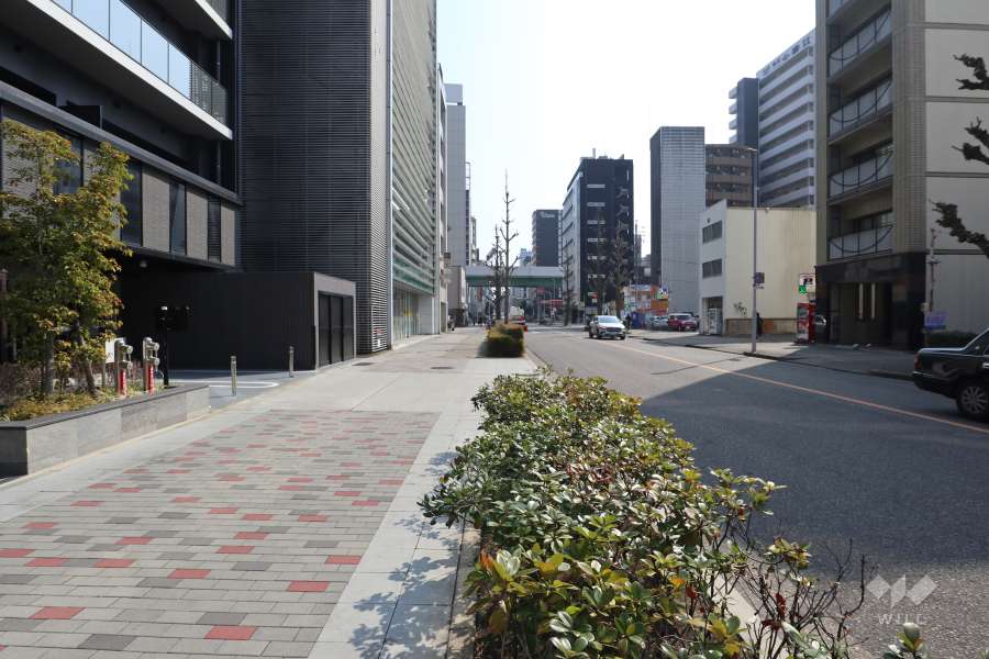 敷地南側の前面道路　