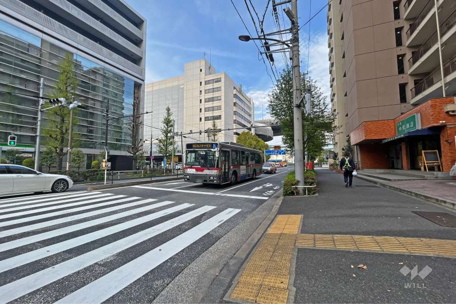敷地北側の前面道路（西側から）