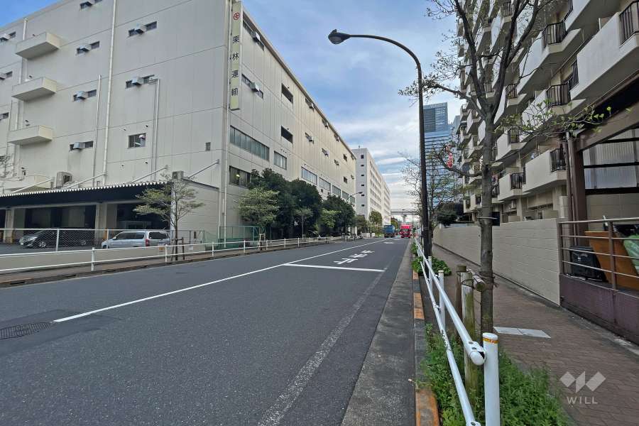 敷地東側の前面道路（北側から）