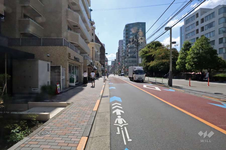 敷地東側の前面道路(北側から)