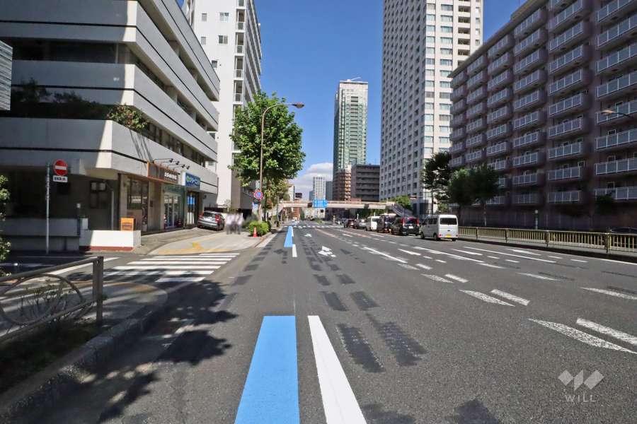 敷地西側の前面道路(南側から)