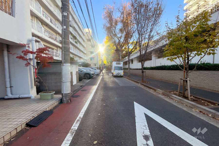 敷地東側の前面道路（南側から）