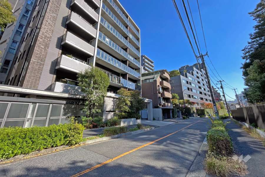 敷地西側の前面道路（北側から）