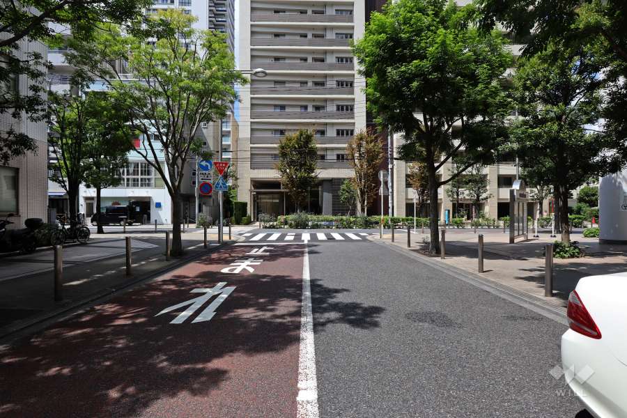 敷地南西側の前面道路(南東側から)