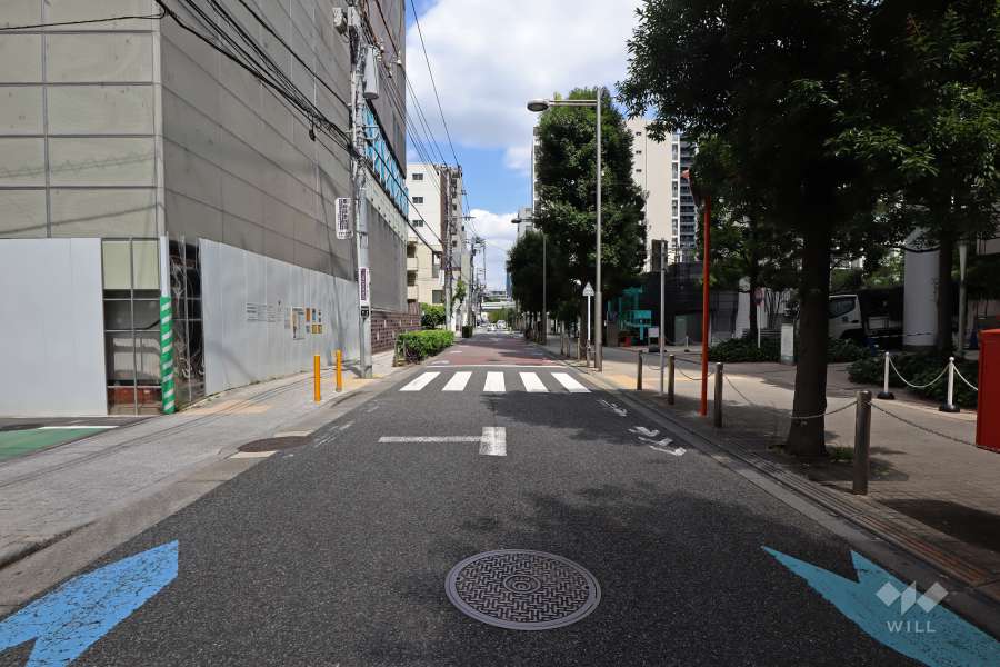 敷地北西側の前面道路(南西側から)