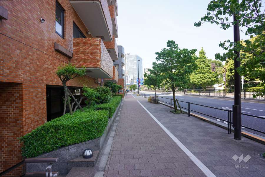 敷地北西側の前面道路（北東側から）