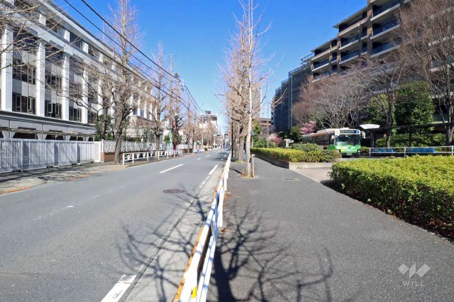 敷地西側の前面通路(南側から)