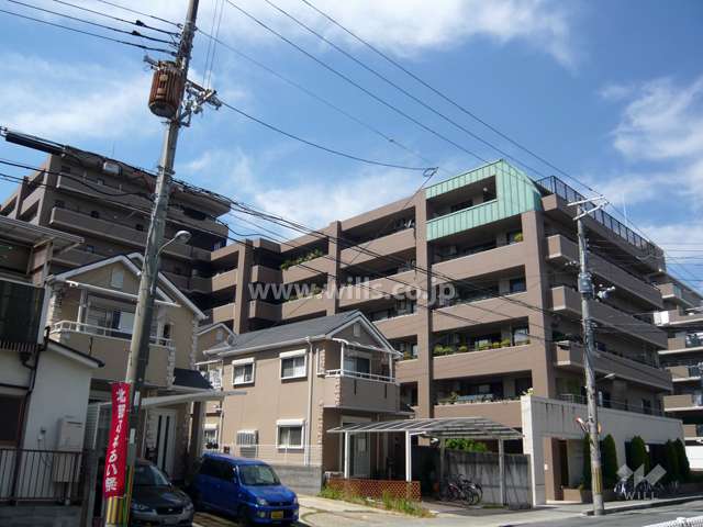 外観（南西側から見る）