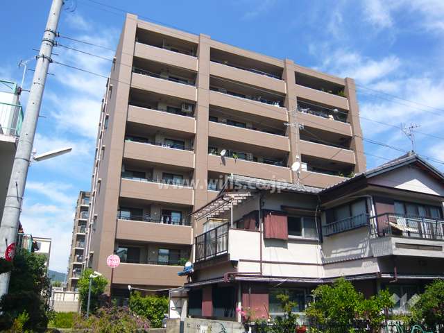 外観（南側から見る）