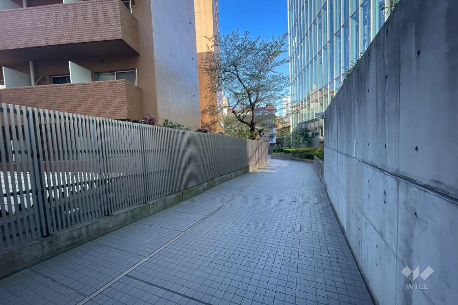 敷地北西側の前面道路（北東側から）