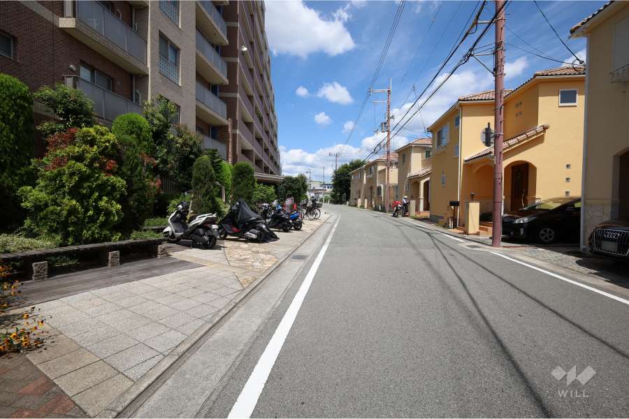 敷地東側の前面道路（南側から）
