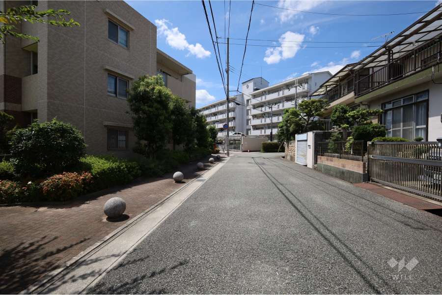 敷地北側の前面道路（東側から）