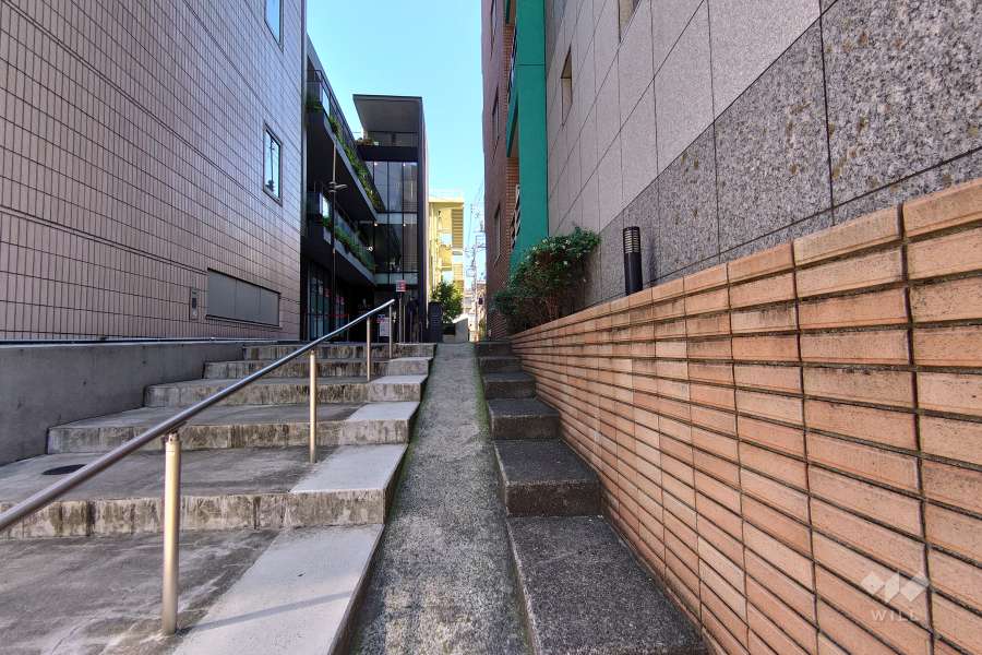 敷地北西側の前面道路（南西側から）