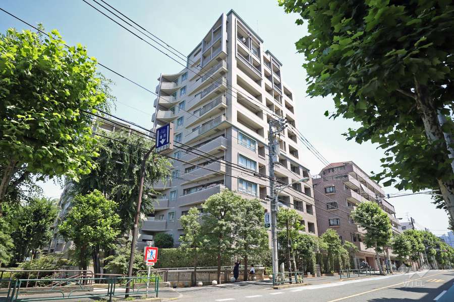 幡ヶ谷ハイムグランシスの外観(南西側から)