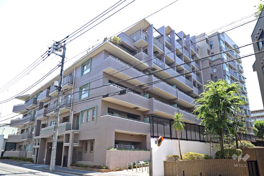 幡ヶ谷ハイムグランシスの外観(北西側から)