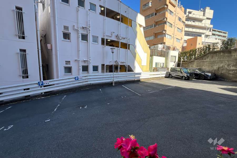 敷地内駐車場（屋外平面式）