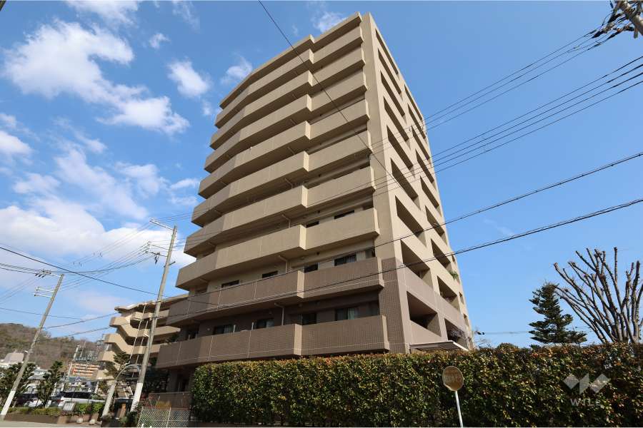 エントランスアプローチ