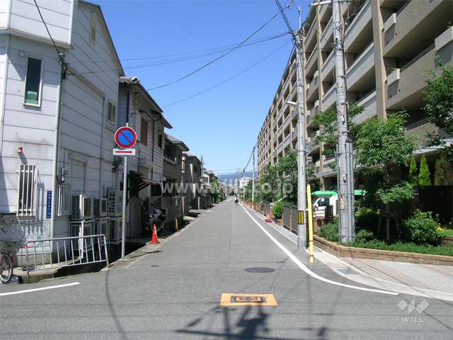 敷地南側の道路。周辺は一戸建てが中心に建ち並ぶ住宅地です。