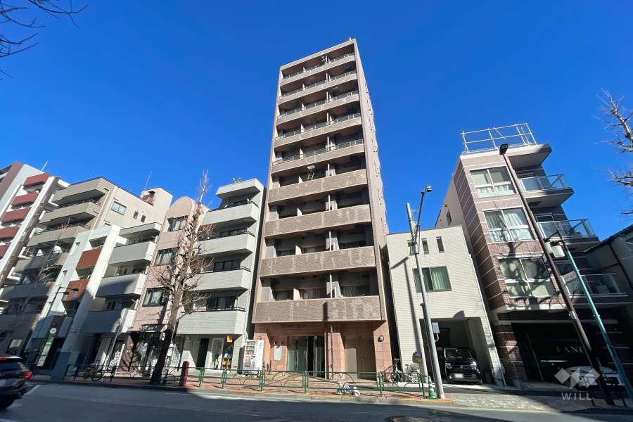 シンシア目白の外観（南側から）