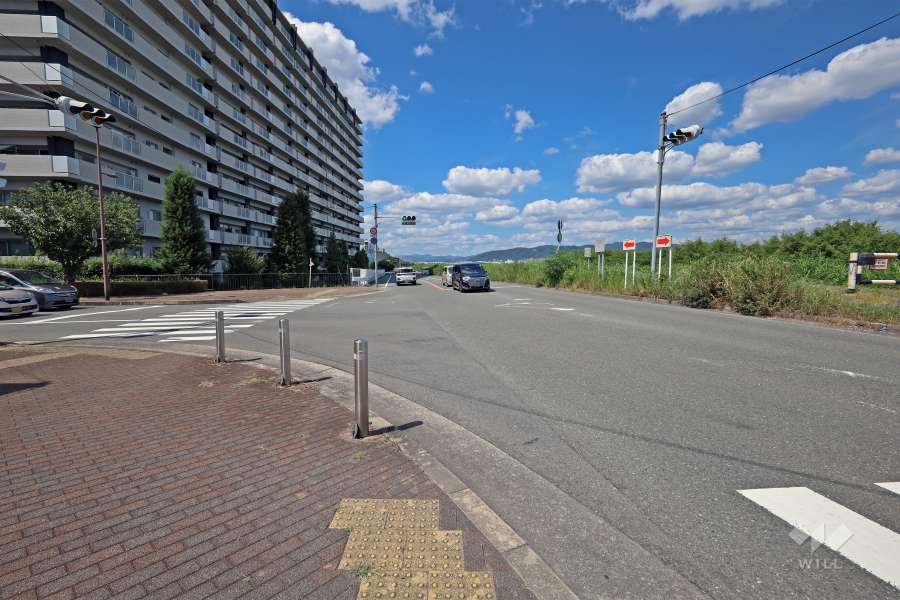 敷地南側の前面道路（西側から）