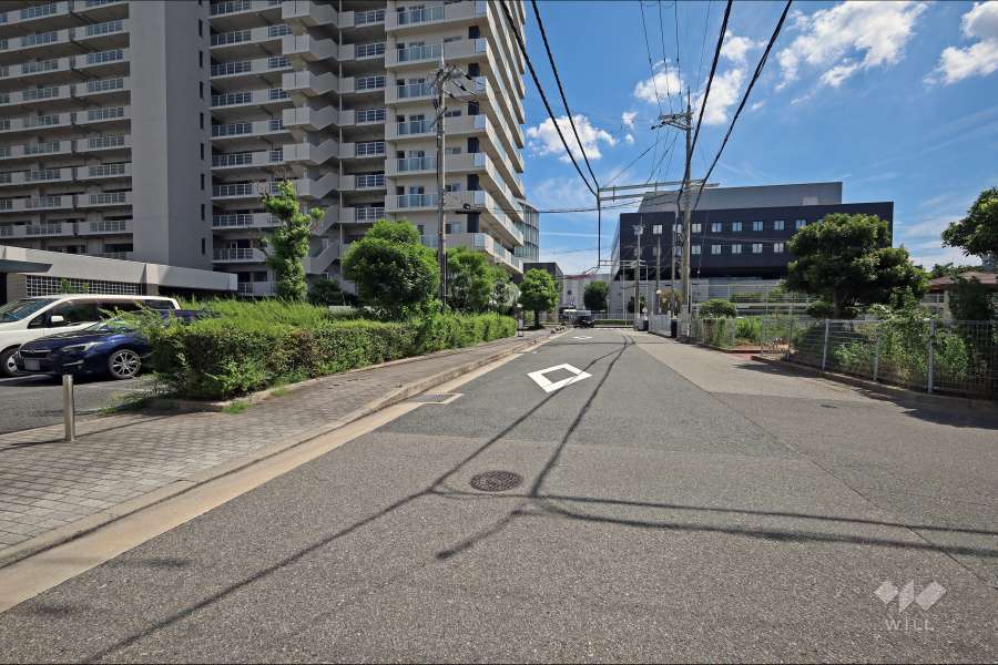 敷地西側の前面道路（北側から）