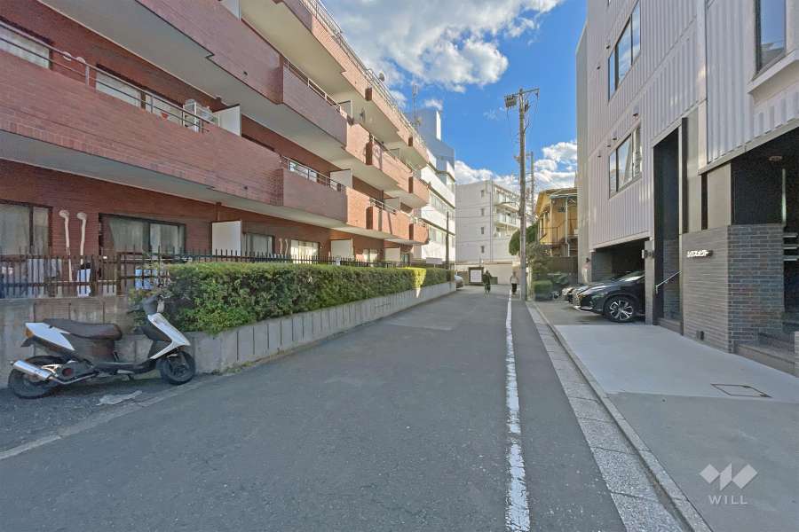 敷地の西側前面道路（北側から）