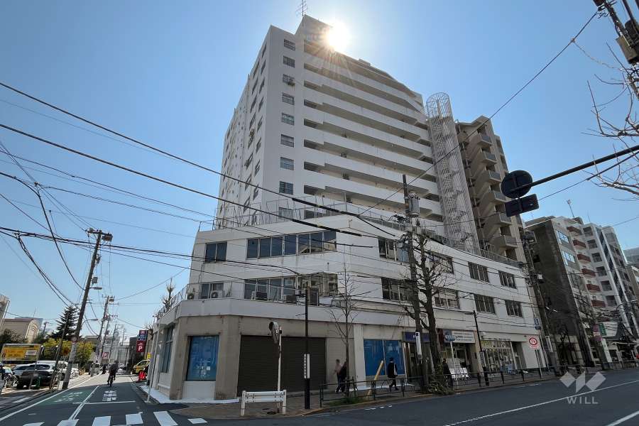 目白が丘マンションの外観（北東側から）