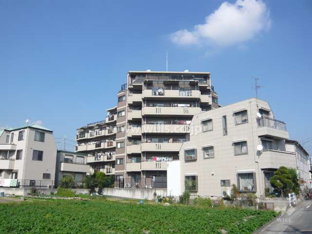 外観（南西側から見る）