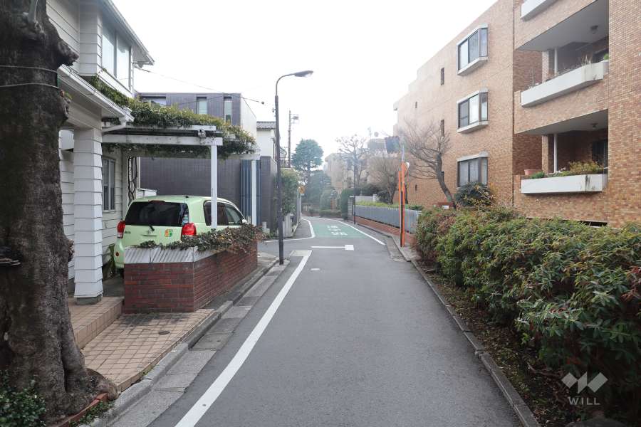 敷地東側の前面道路（北側から）