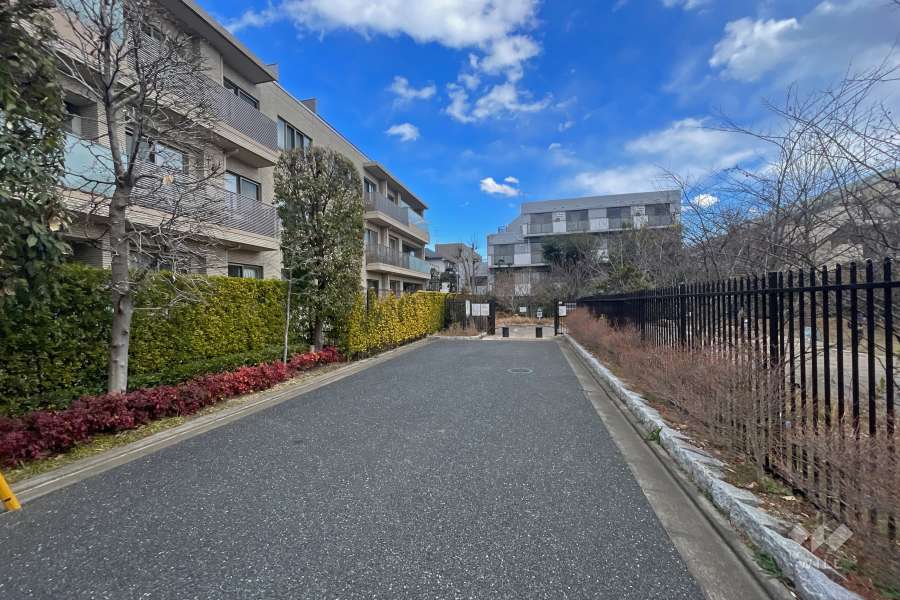 敷地南側の前面道路（西側から）