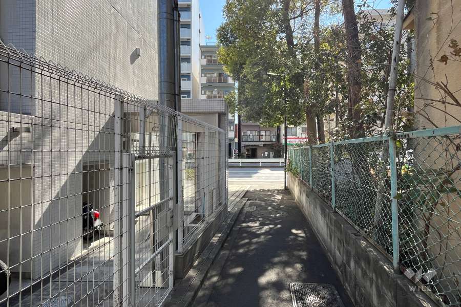 敷地の西側前面道路（北側から）