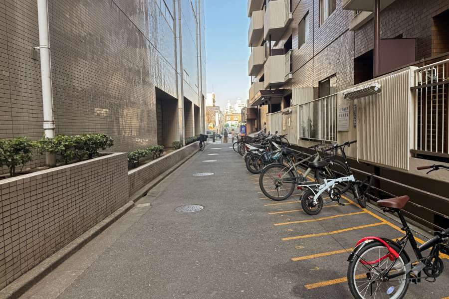 敷地西側の前面道路（南側から）