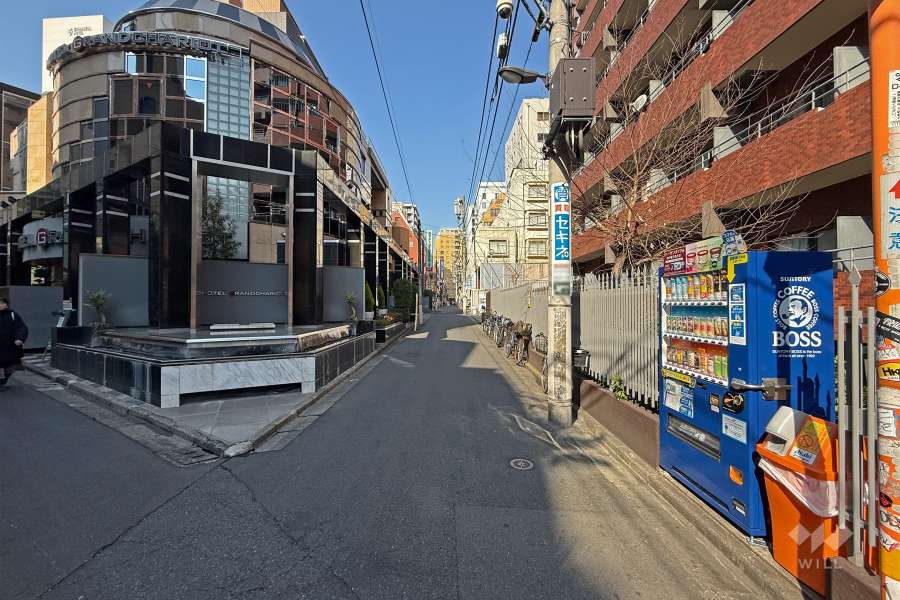 敷地西側の前面道路（南側から）