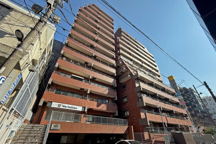 ライオンズマンション歌舞伎町の外観（北西側から）