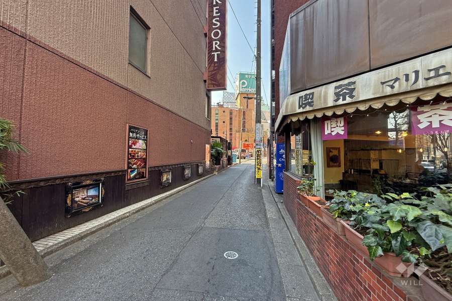 敷地南西側の前面道路（東側から）