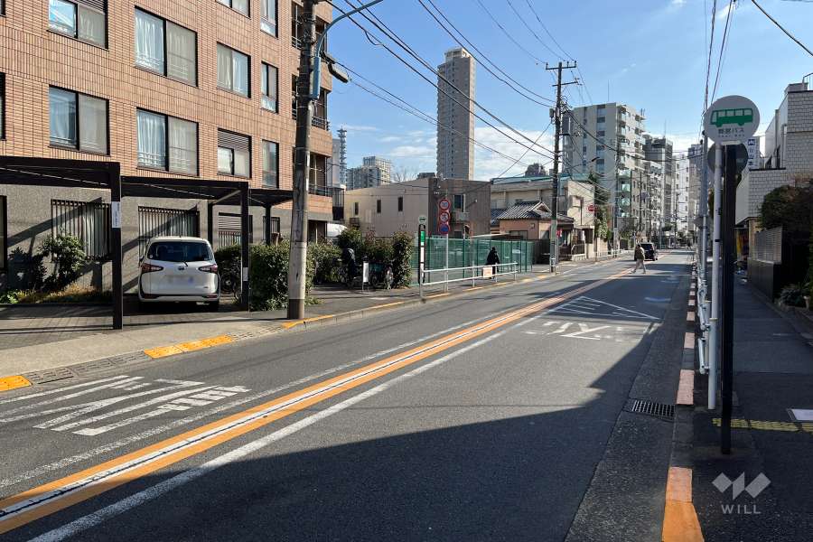 敷地の西側前面道路（北側から）