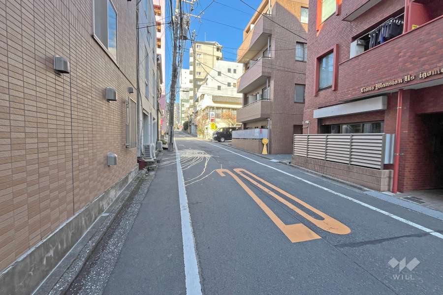 敷地の南側前面道路（東側から）