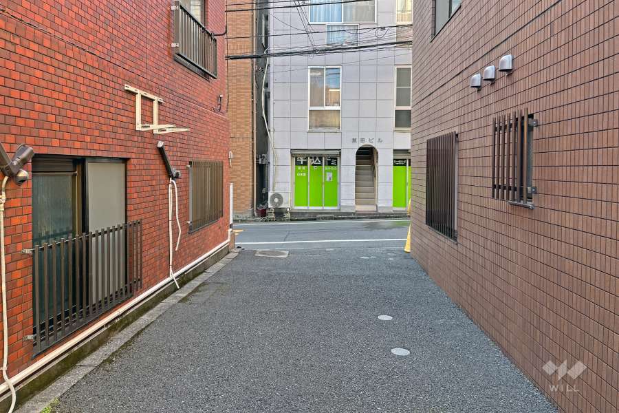 敷地の西側前面道路（北側から）