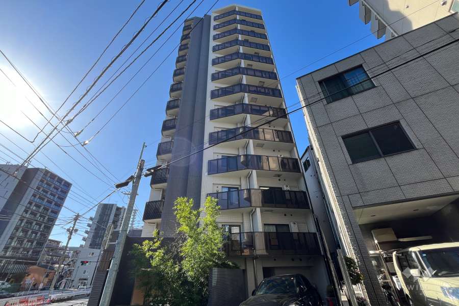 ウィルローズ市谷柳町の外観（北側から）