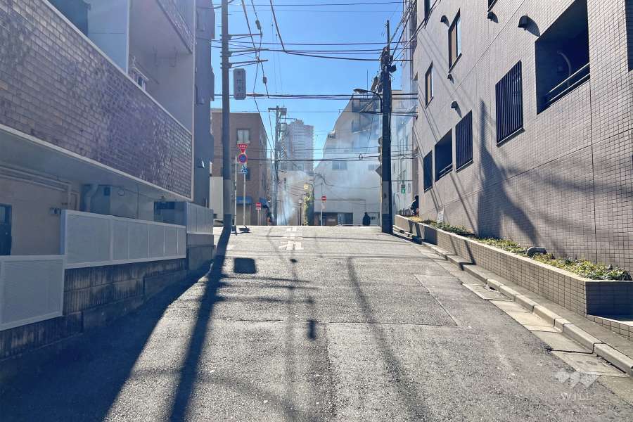 敷地東側の前面道路（北側から）