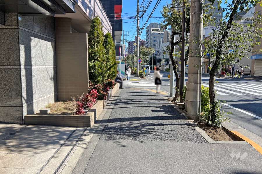 敷地南側の前面道路（西側から）