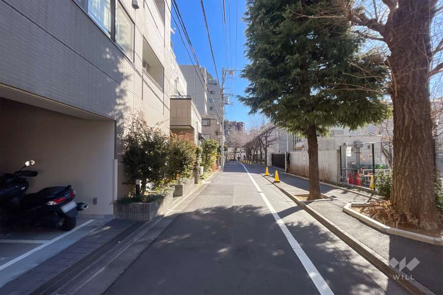 敷地南側の前面道路（西側から）