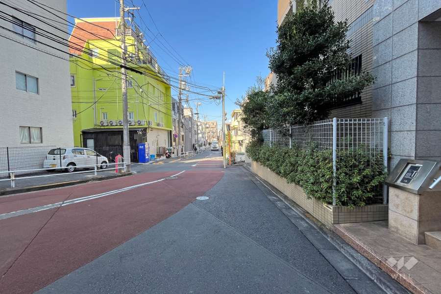 敷地の西側前面道路（南側から）