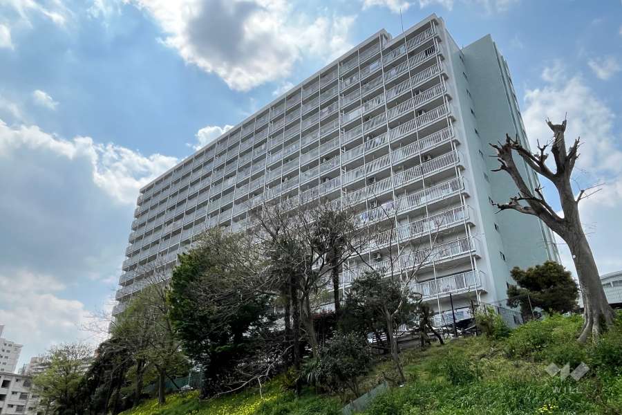 戸山ハイツ27号棟の外観（北東側から）