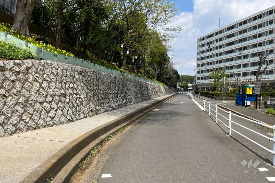 敷地の東側前面道路（南側から）
