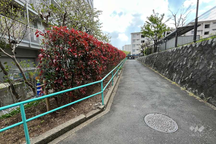 敷地の西側遊歩道（北側から）